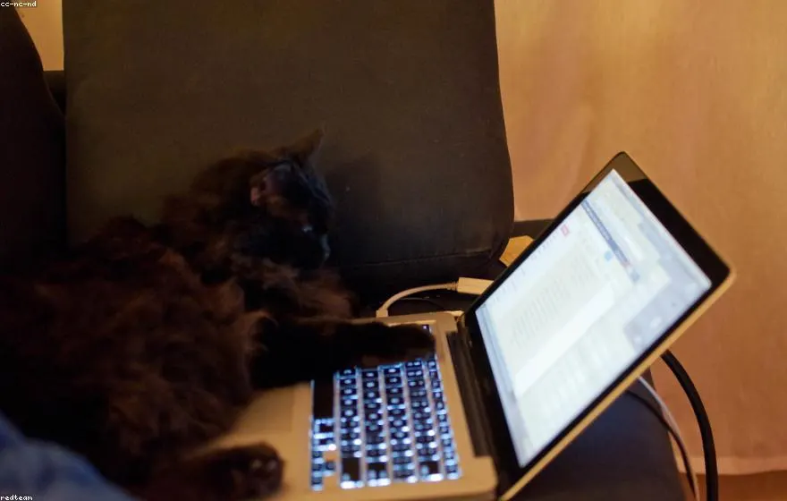 Email marketing on a laptop
